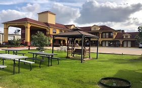 Raintree Inn And Suites